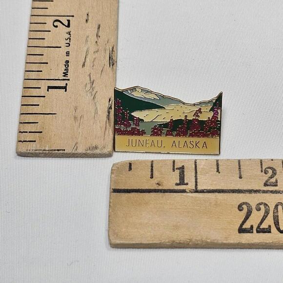 Vintage Resin Over Enamel Juneau Alaksa Ak Travel Pin Flowers Views - Picture 2 of 4